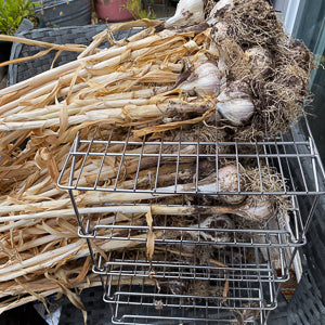 Quotidian Photographs No. 5, No. 6, and No. 7