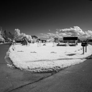 Infrared Photograph No. 37