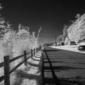 Infrared Photograph No. 42