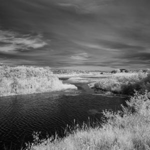 Infrared Photograph No. 51