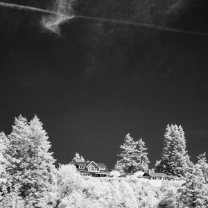 Infrared Photograph No. 64