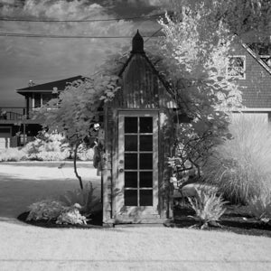 Infrared Photograph No. 89