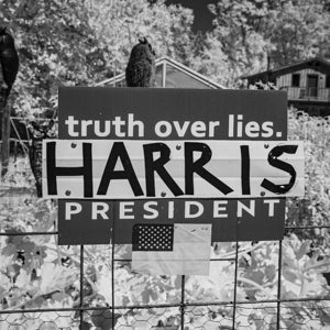 Infrared Photograph No. 98