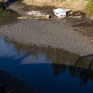 Quotidian Photograph No. 135