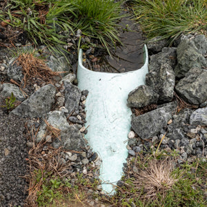 Quotidian Photograph No. 181