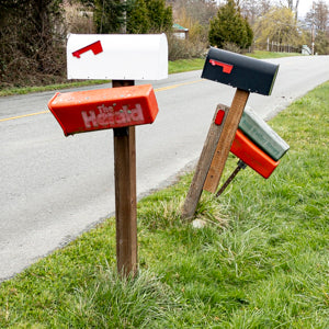 Quotidian Photograph No. 182