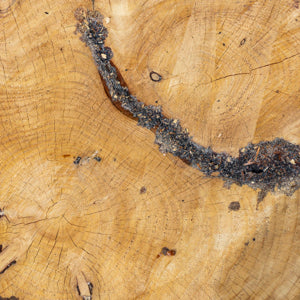 Quotidian Photograph No. 332