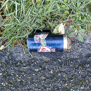 Quotidian Photographs No. 36 and No. 37