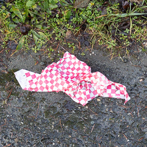 Quotidian Photograph No.63