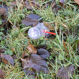 Quotidian Photograph No. 66