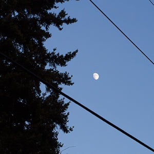 Quotidian Photograph No. 67