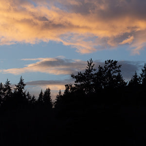 Quotidian Photograph No. 68