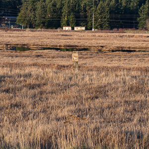 Quotidian Photography No. 72