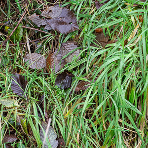 Quotidian Photograph No. 76