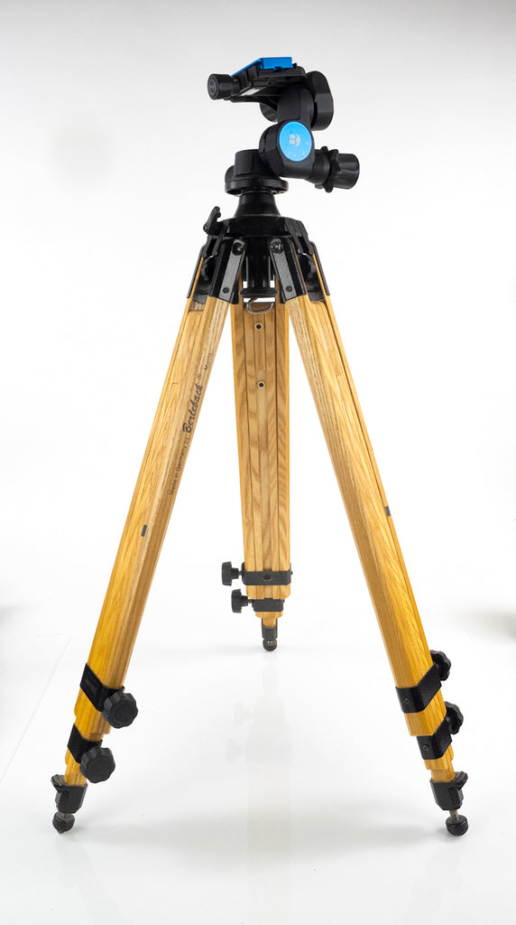 Berelebach tripod with Benro gear drive three way head